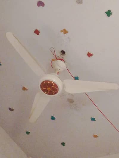 used fans