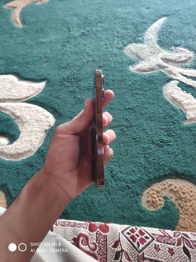 Apple iPhone 13 Pro 1