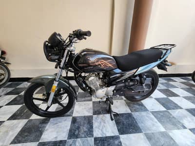 YAMAHA YBZ DX  2024 MODEL