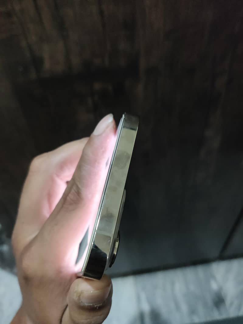 Apple iPhone 13 Pro Max 1