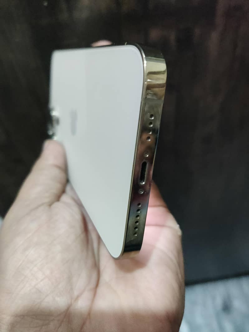 Apple iPhone 13 Pro Max 2