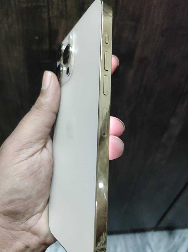 Apple iPhone 13 Pro Max 3