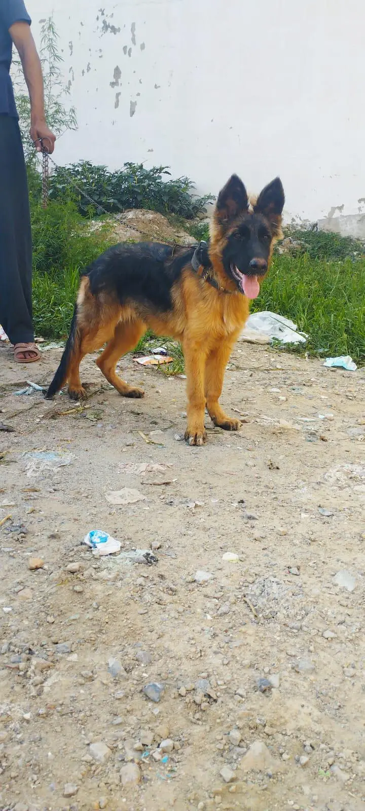 German female — photo 2