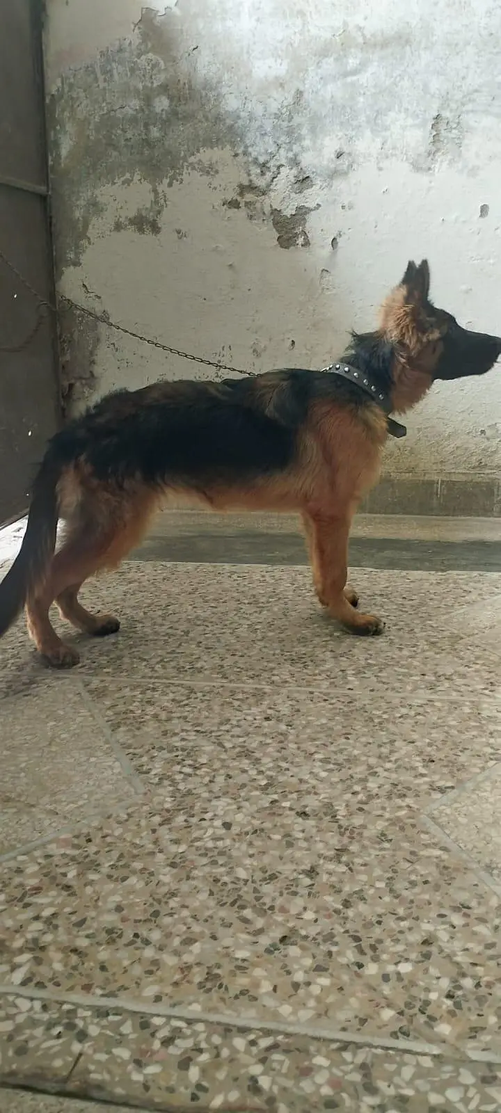 German female — photo 4