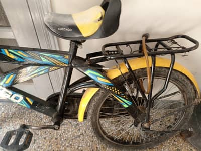 Cycle
