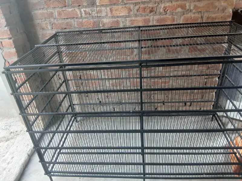 Big iron cage like a brand new pinjra lohy ka — photo 2