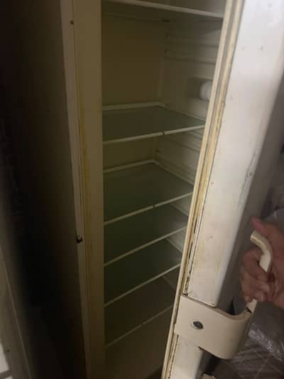 Siemens fridge and refrigerator