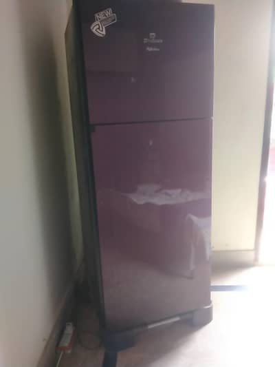 full size Glass refrigerator and freezer