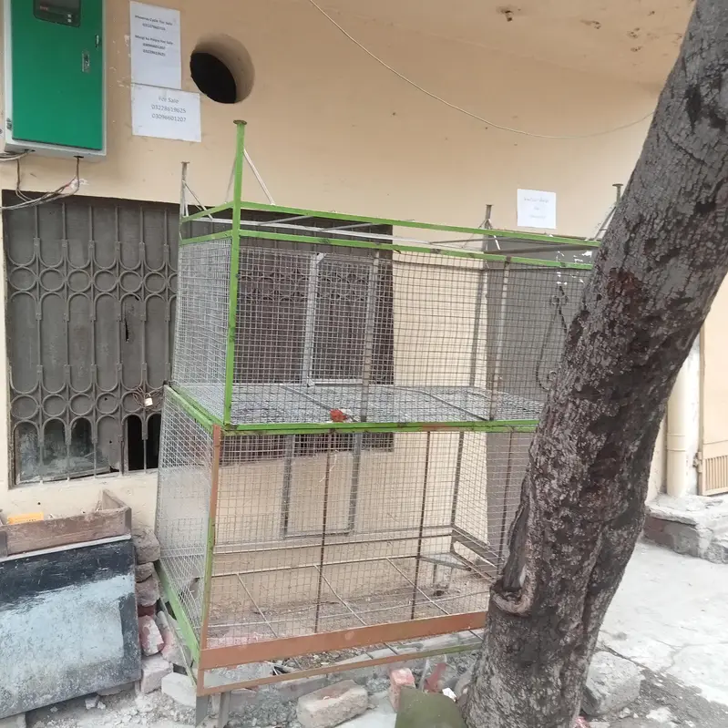 Pinjra For Sale