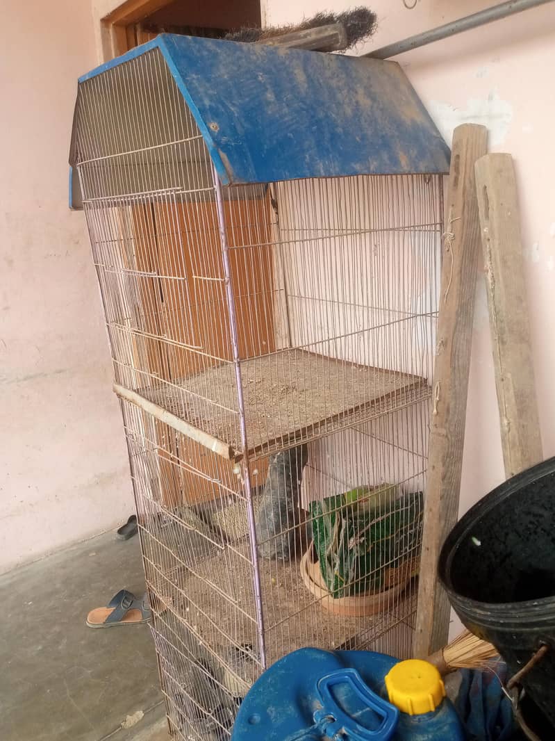 pinjara 1