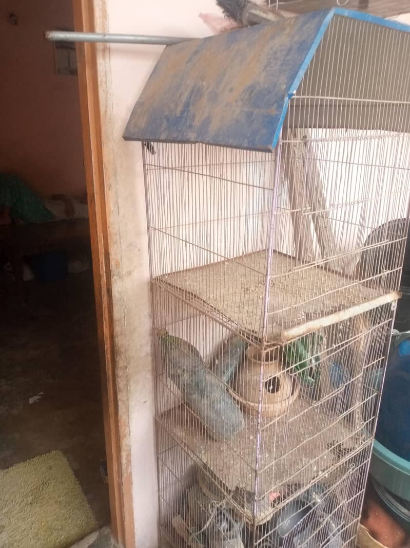 pinjara 2