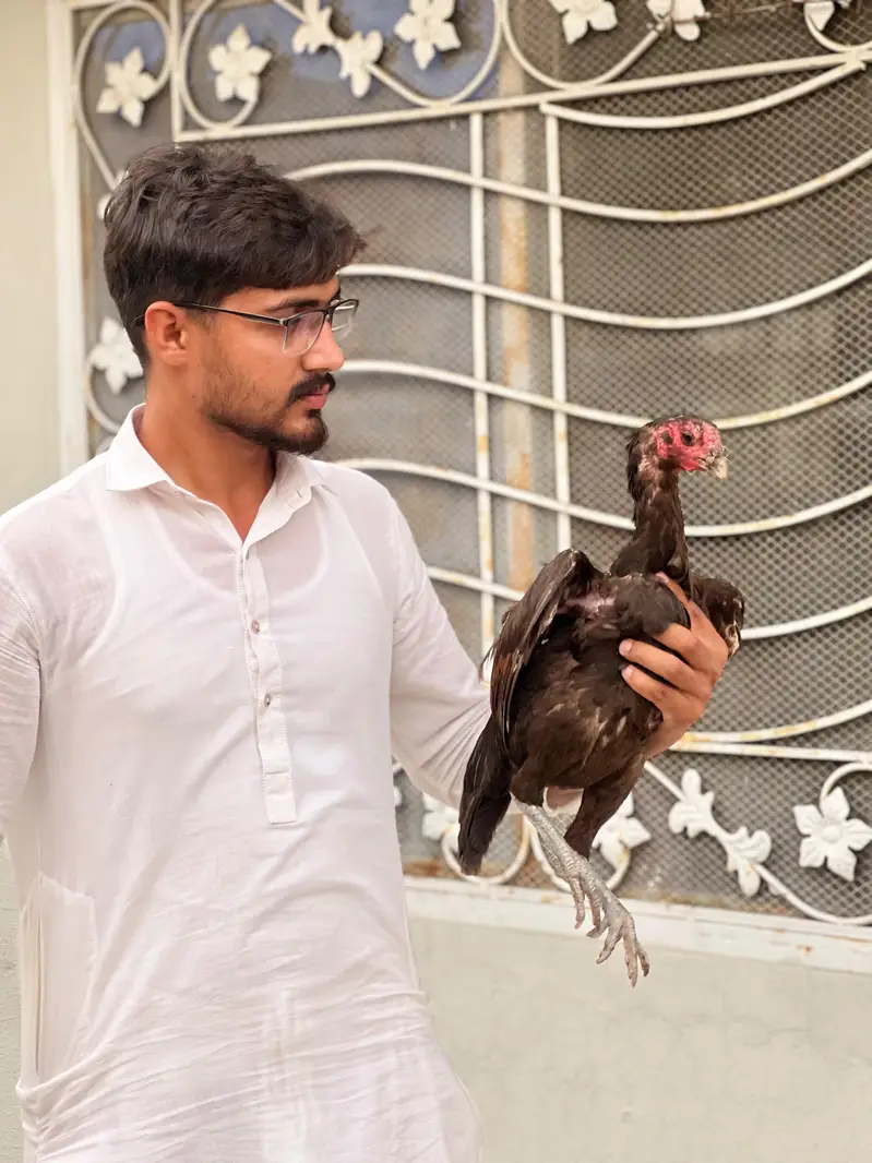 pure pakoye drummer chicks — photo 3