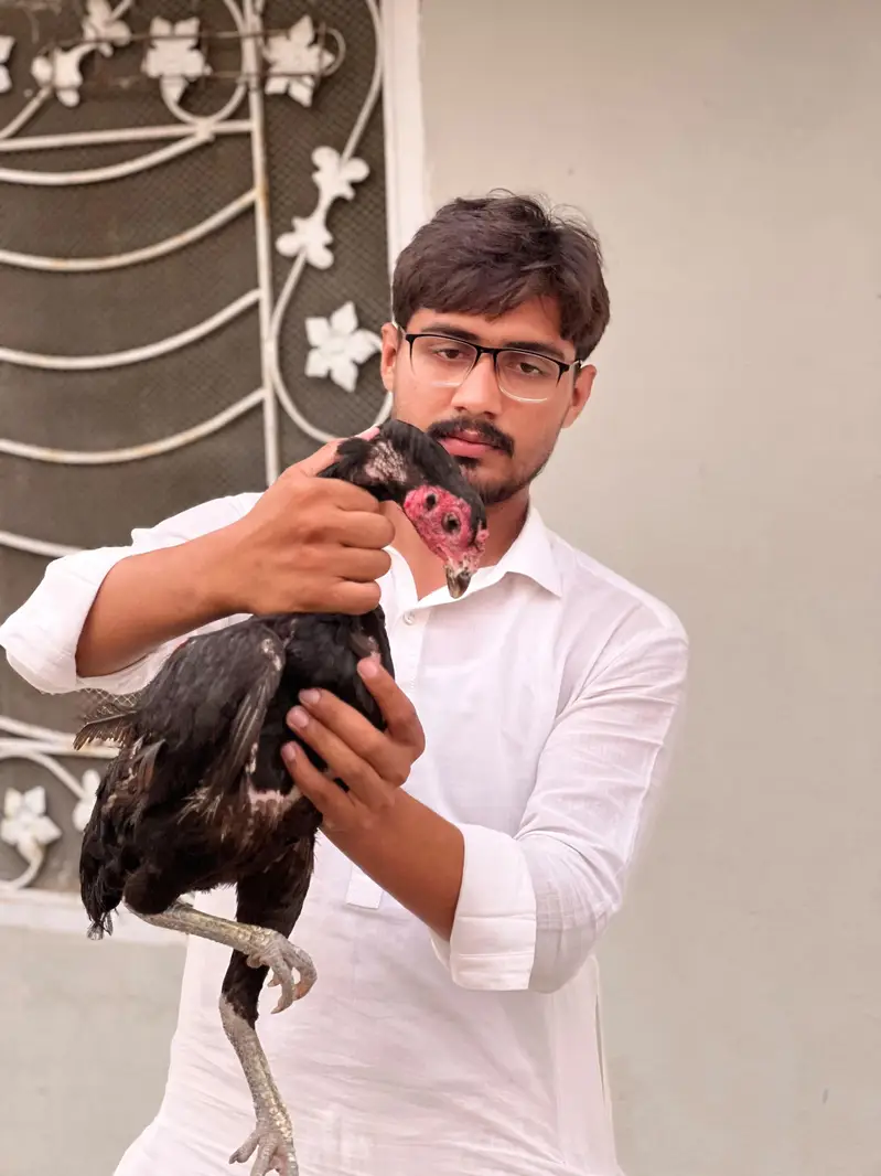 pure pakoye drummer chicks — photo 4