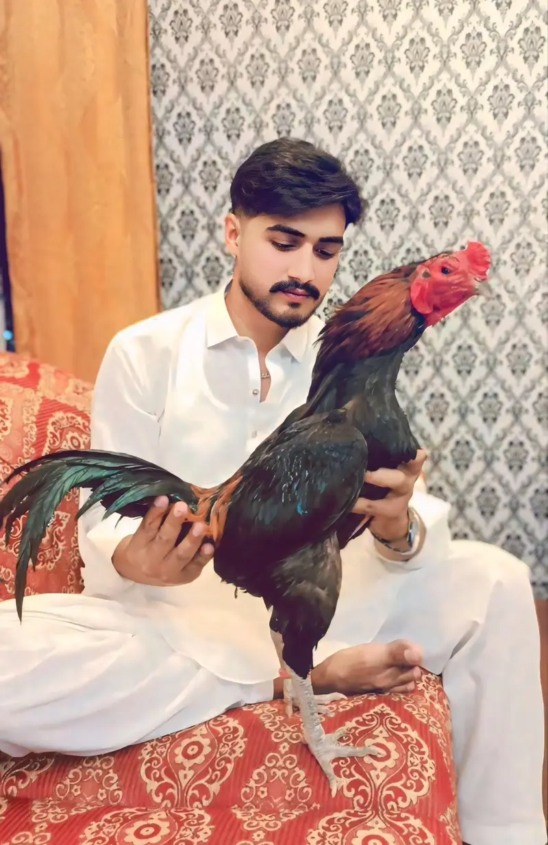 pure pakoye drummer chicks — photo 7