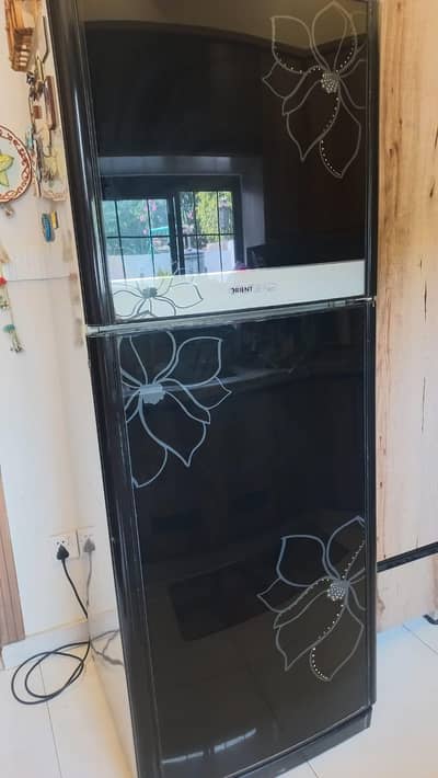 orient fridge  black glass door big size