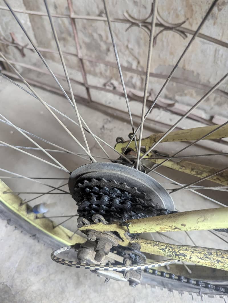 bicycle 6