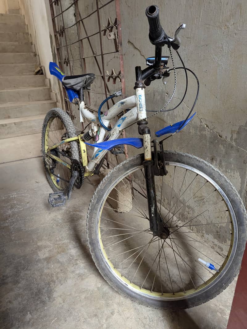 bicycle 10