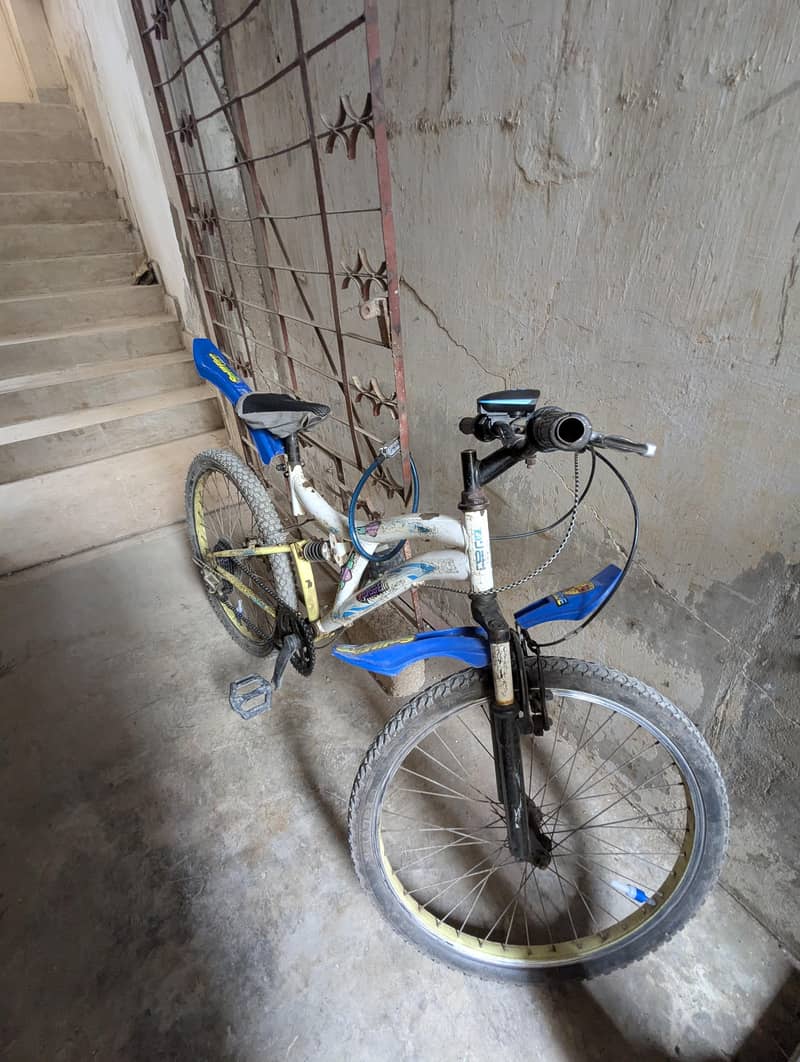 bicycle 11