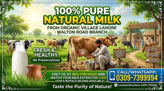 organic village pure milk 1L