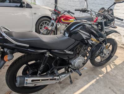 Ybr125 G 2019 model