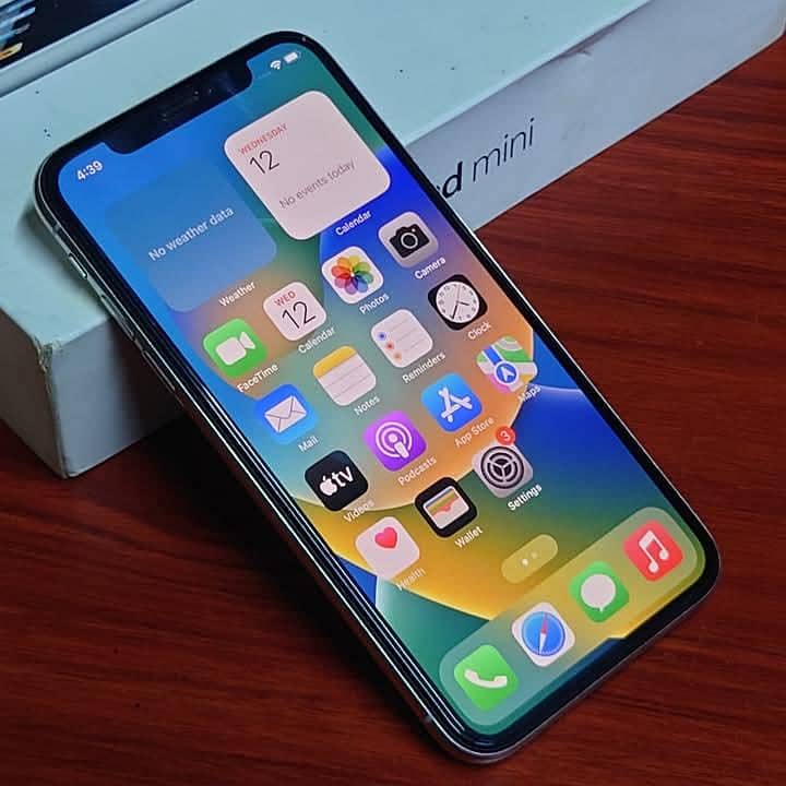 Apple iPhone X 1