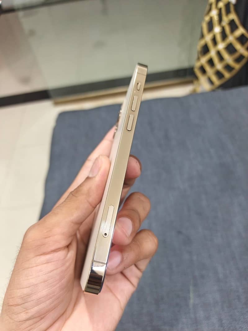 Apple iPhone 12 Pro 4