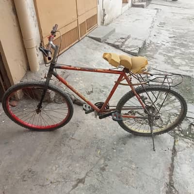Phoenix Cycle big frame