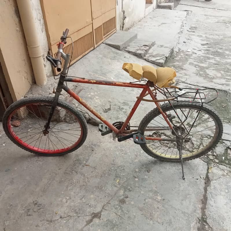 Phoenix Cycle big frame 0