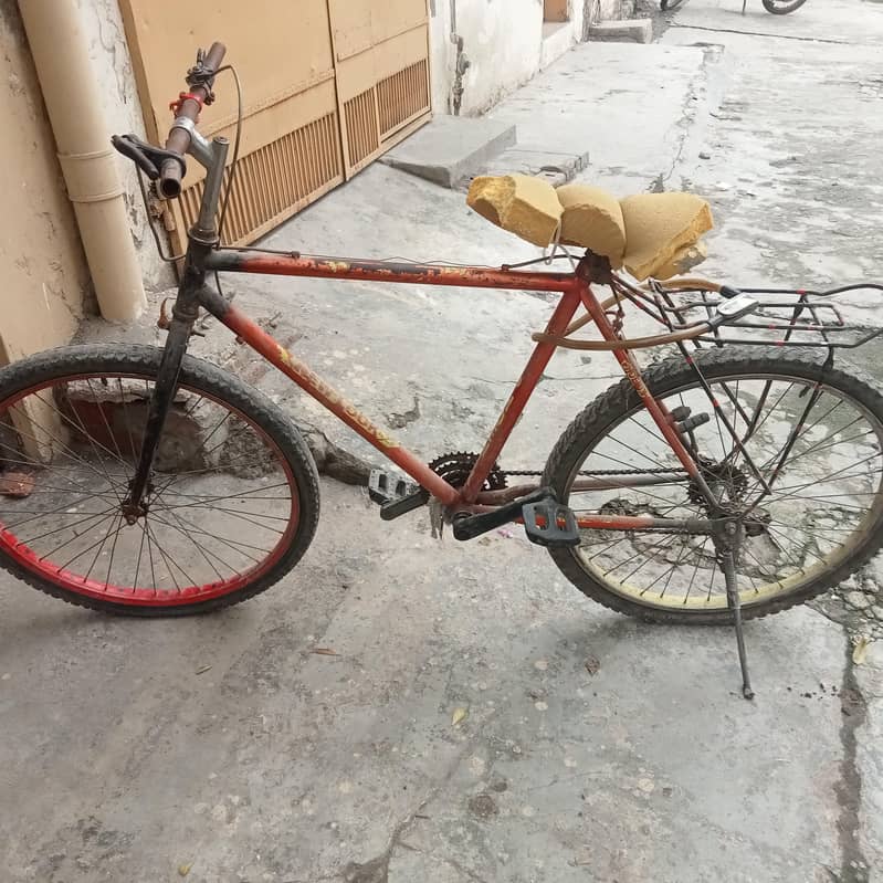 Phoenix Cycle big frame 3