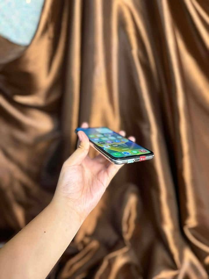 Apple iPhone X 1