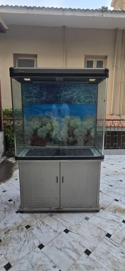 Imported Mjboalai aquarium