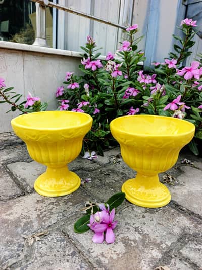 Ceramic Planters