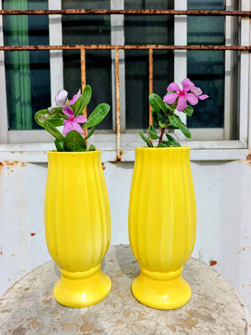 Ceramic Planters 5