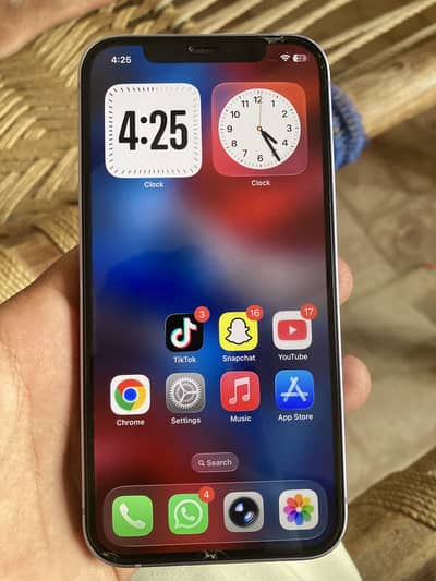 Apple iPhone 12