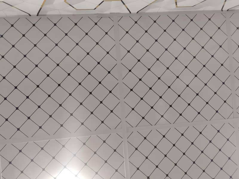Ceiling 1