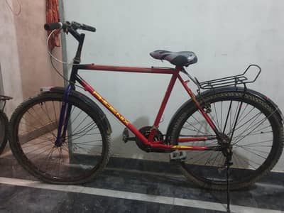 phoenix bicycle
