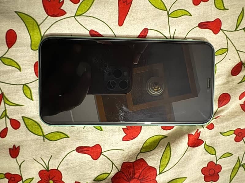 Apple iPhone 11 0