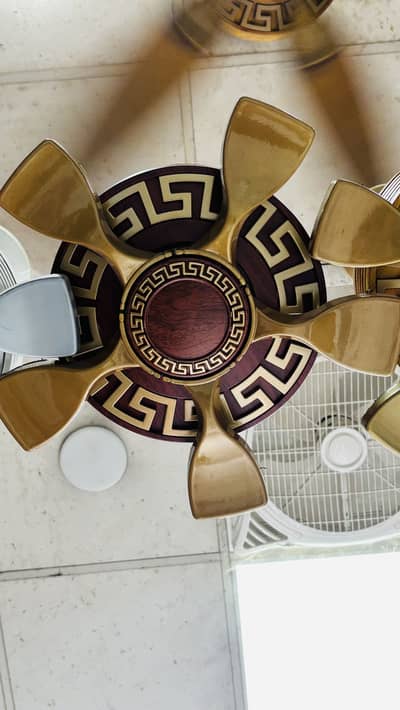 Ceiling fans