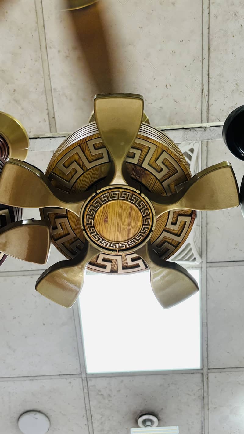 Ceiling fans 2