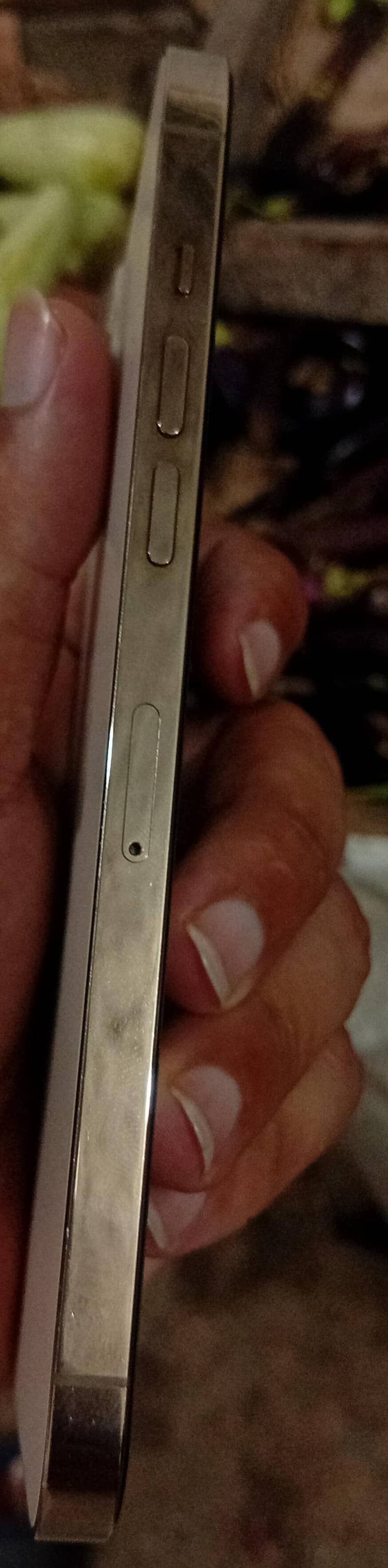IPhone 12 Pro Max 3