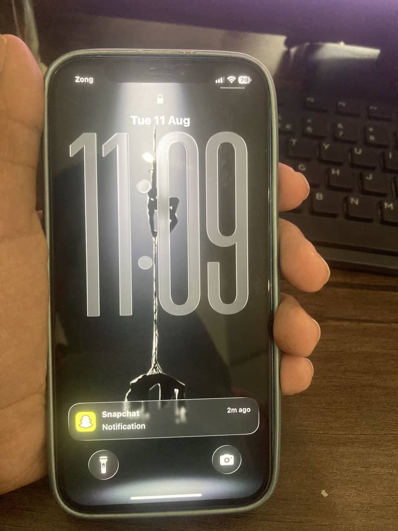 Apple iPhone 12 0