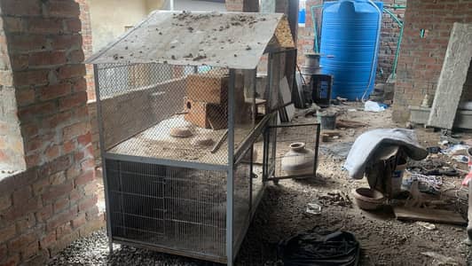 hen dogs iron cage for sale