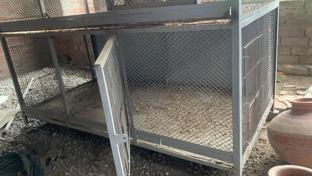 hen dogs iron cage for sale — photo 5
