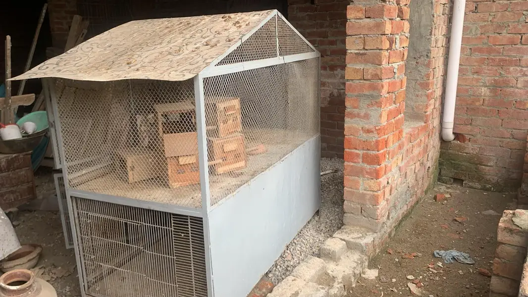 hen dogs iron cage for sale — photo 6