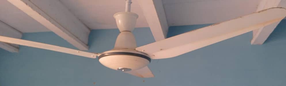 super fan company