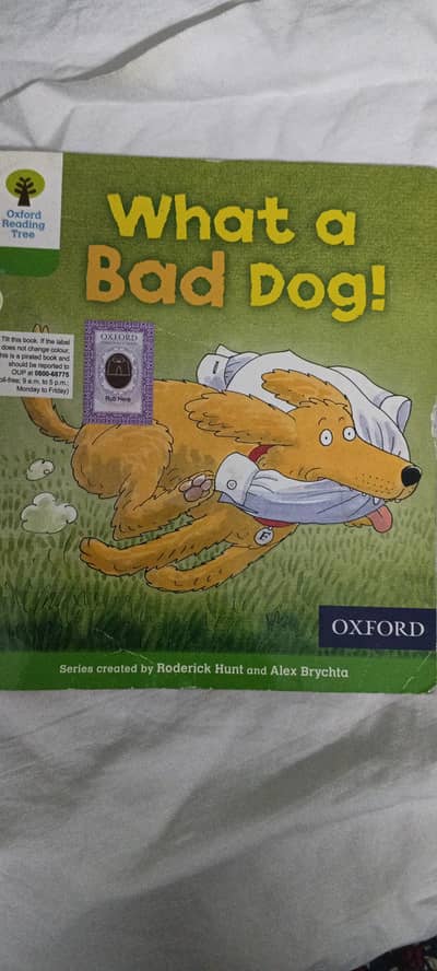 Cambridge and oxford readers
