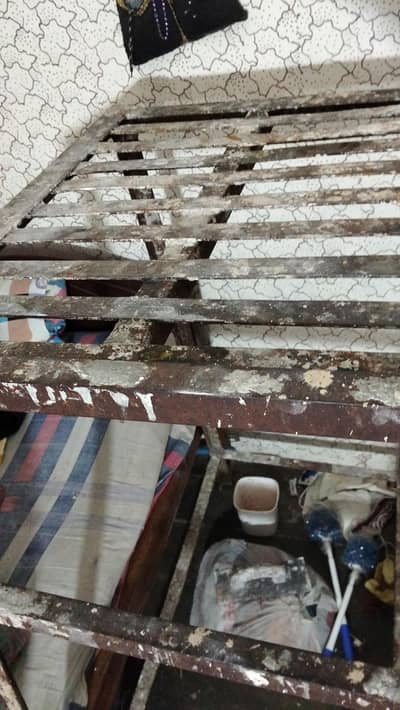 ghori for sale