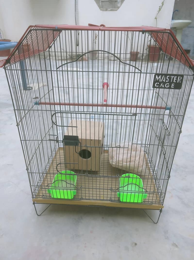 Master Cage 0