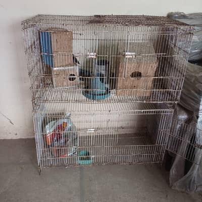Quality Cages for Sale – Strong & Durable