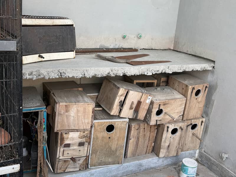 Kikkar boxes 0